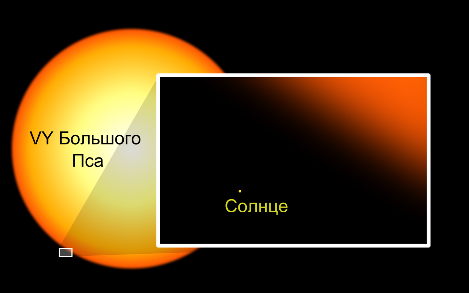 Vy большого пса картинки