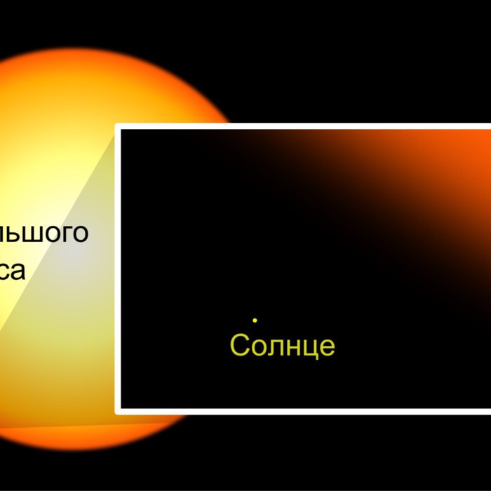 Vy большого пса