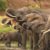 Африканские слоны на пути к вымиранию