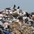 Пластмасса и многие другие отходы исчезают из биосферы Земли