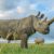Носороги исчезают из дикой природы