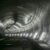 Завершение строительства Бреннерского тоннеля