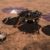 Космическая исследовательская станция InSight опускается на поверхность Марса