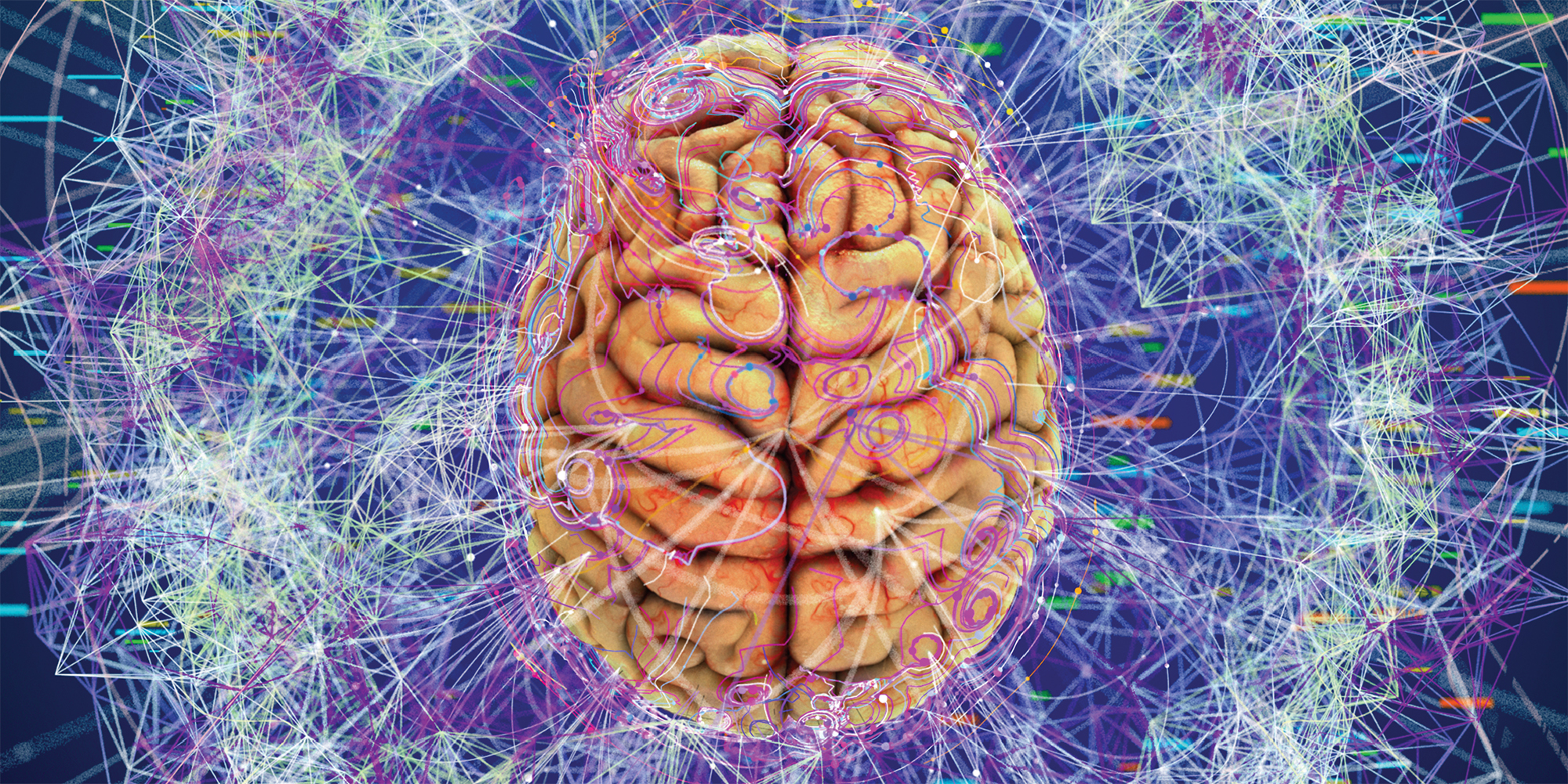 Связь тела и мозга